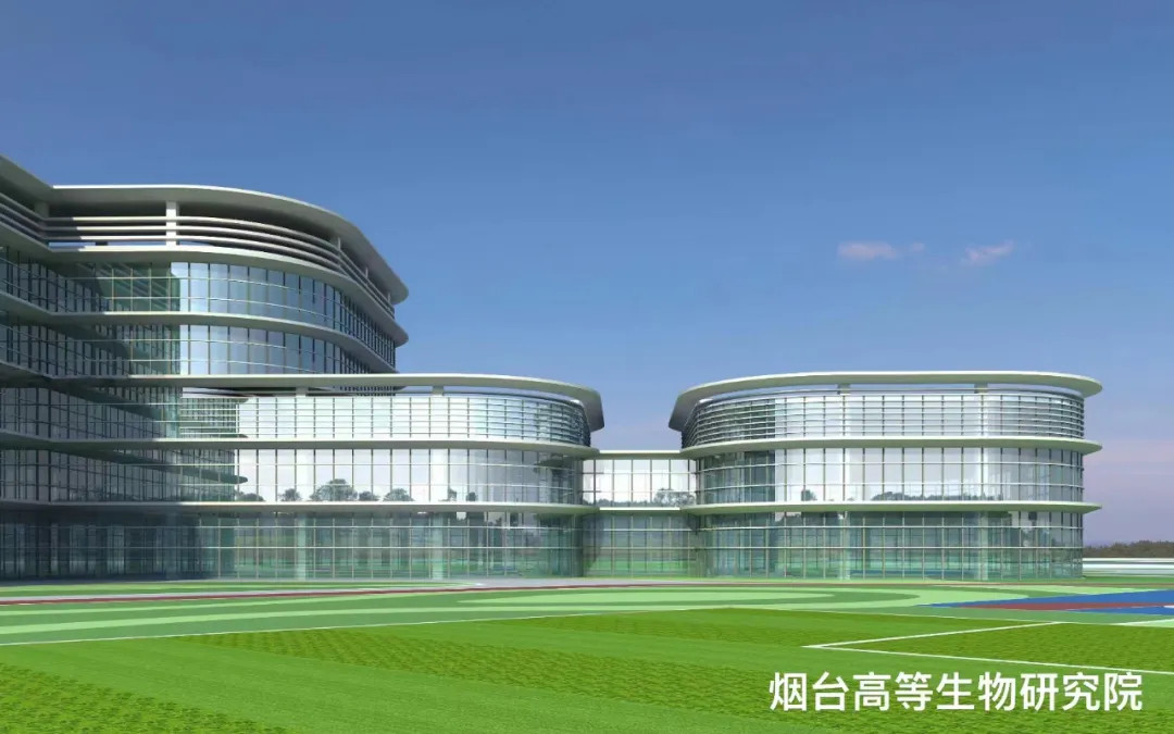 大跨度 高精度 超節(jié)能|鳳鋁助力煙臺城市更新，展登州新貌