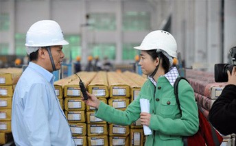 小丫跑兩會(huì)，專訪廣東鳳鋁鋁業(yè)有限公司